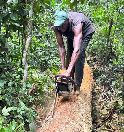 Biodiversidade